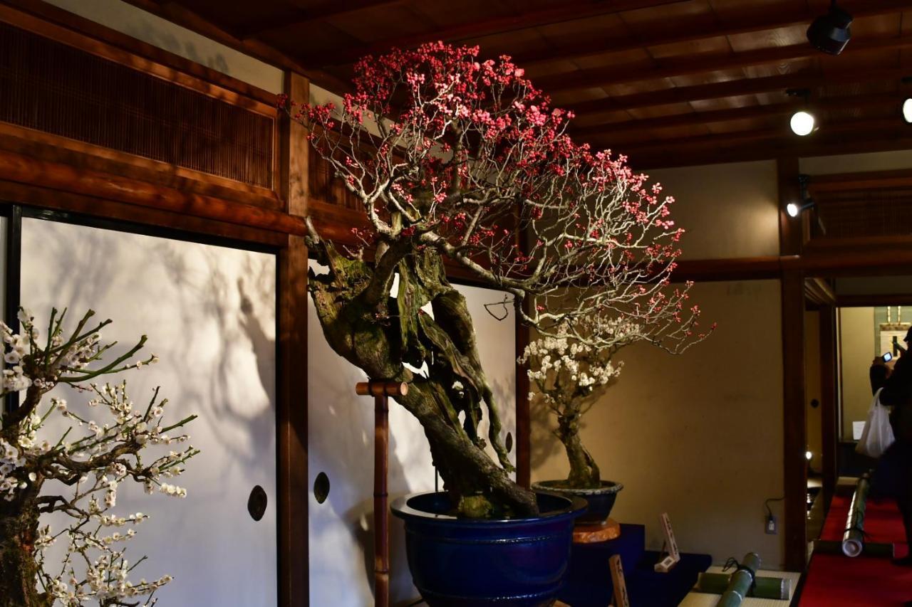 Appartement Cozy House 8, Free Wifi A Rented Electric Bicycle à Kyoto Extérieur photo